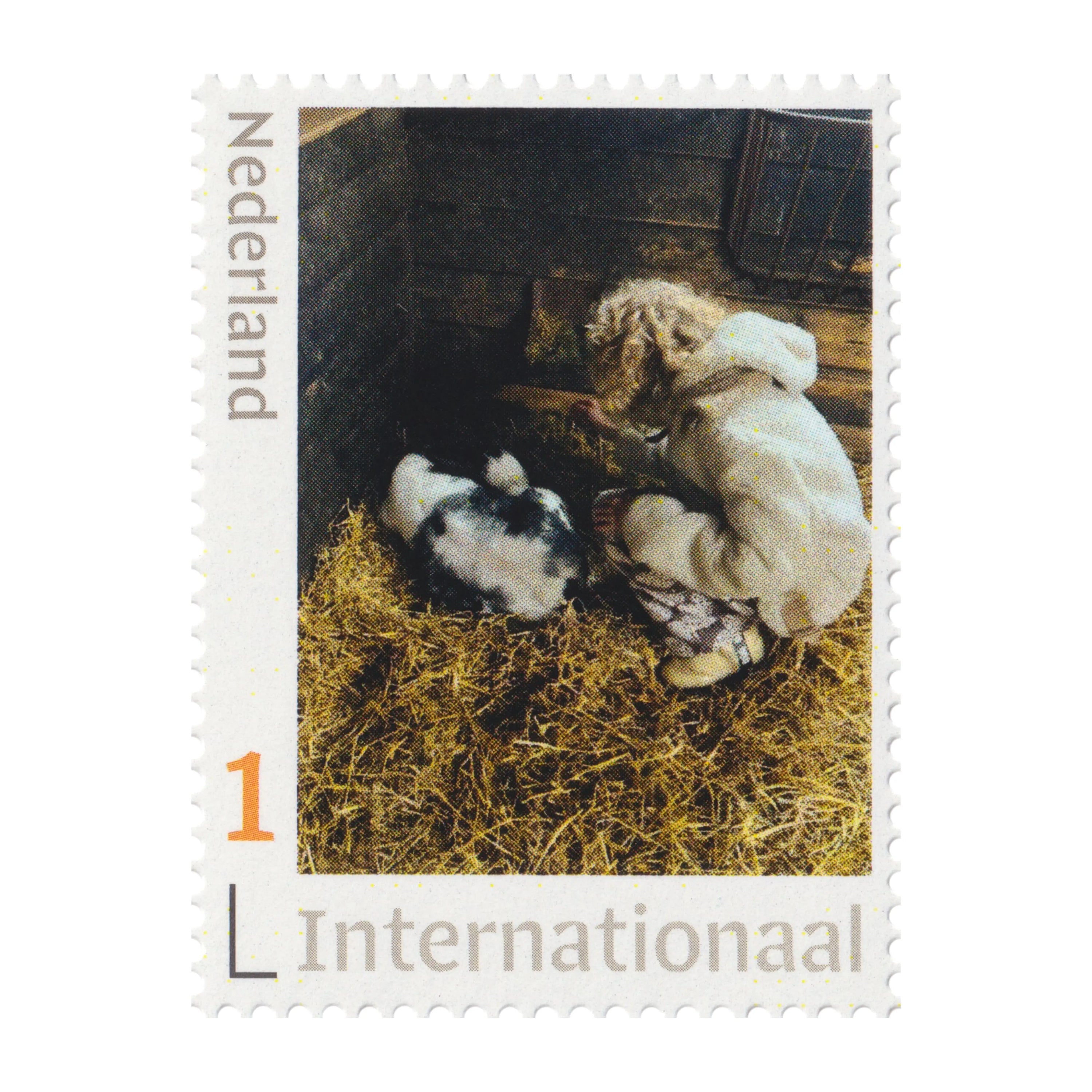 17.11 - 23.11, postage stamps PostNL