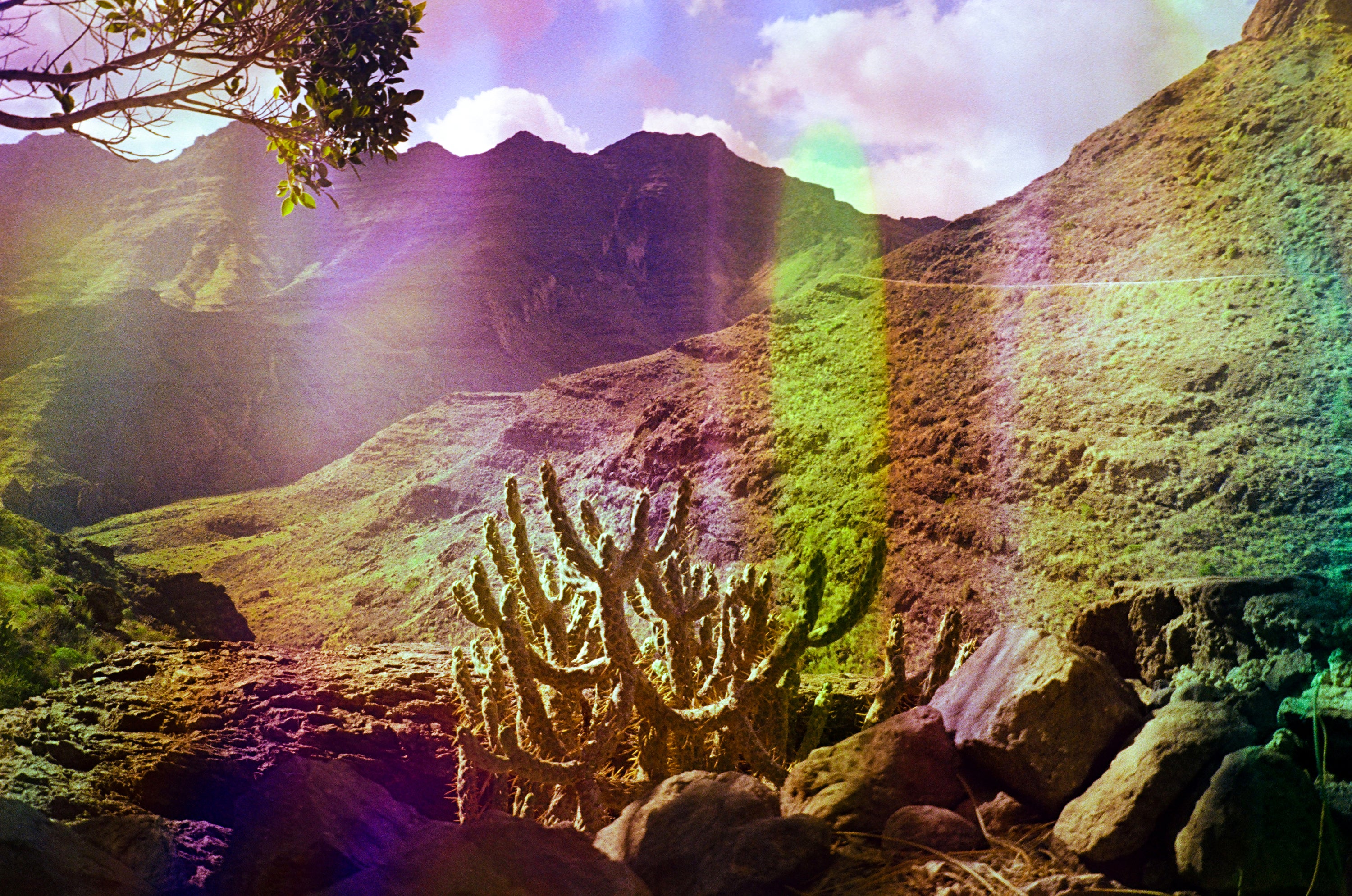 Rainbow, film soup