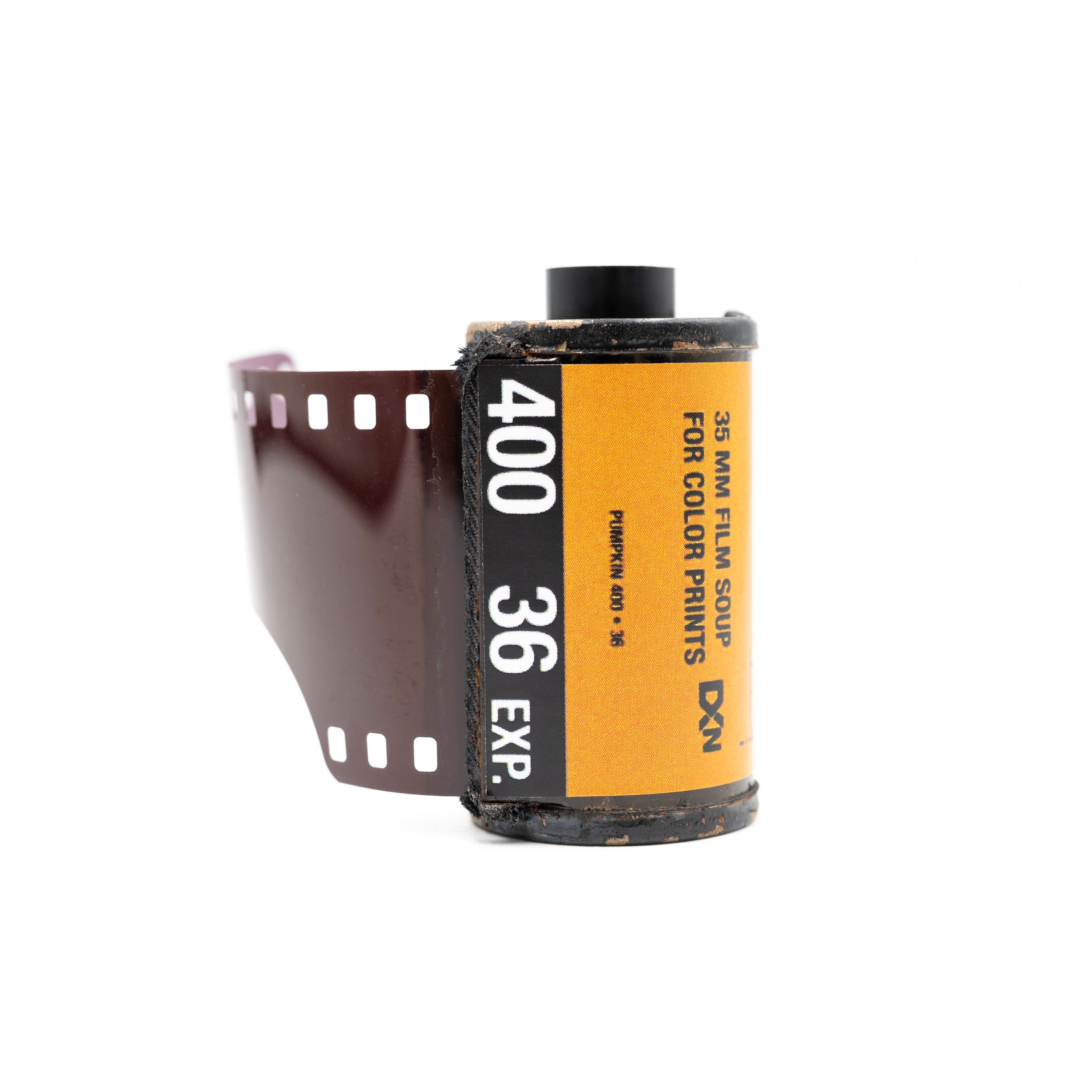 Pumpkin, film soup (limited edition)
