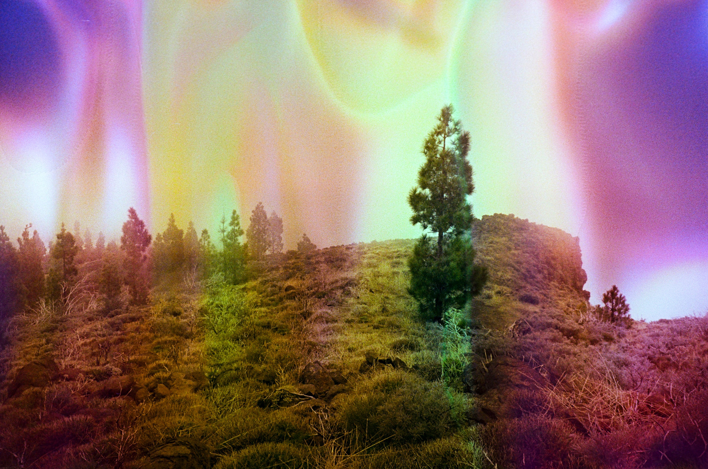 Rainbow, film soup
