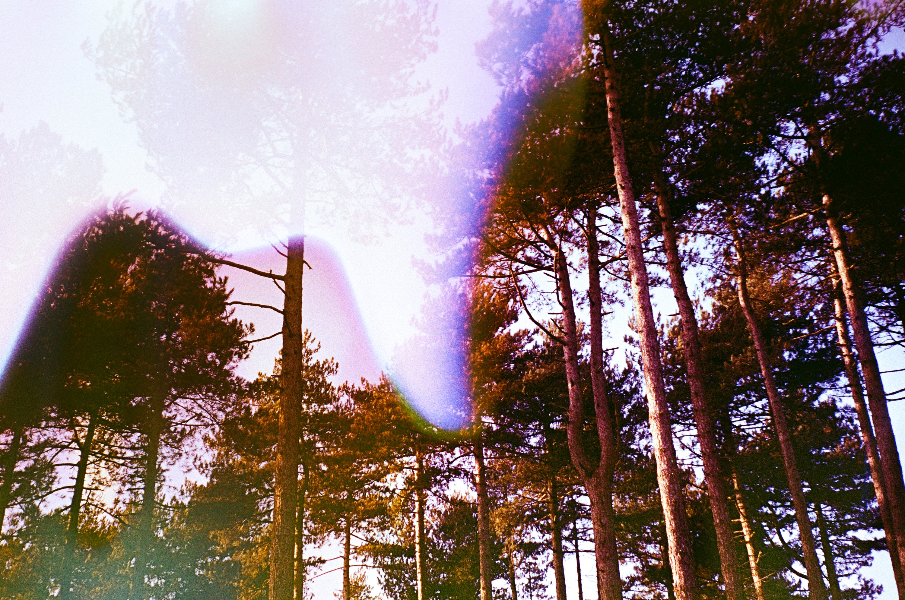 Sugar UV, film soup