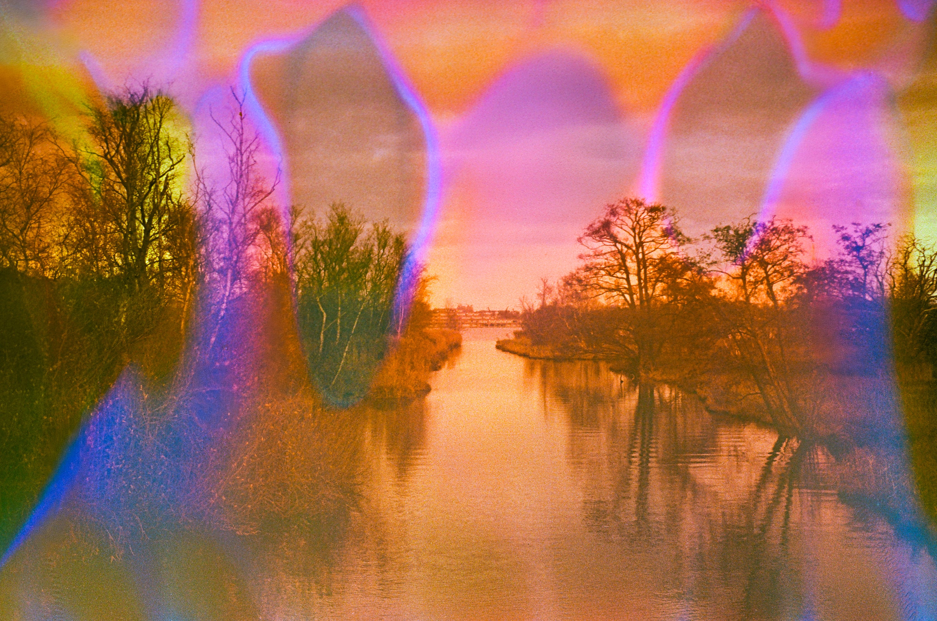 Pumpkin, film soup (limited edition)