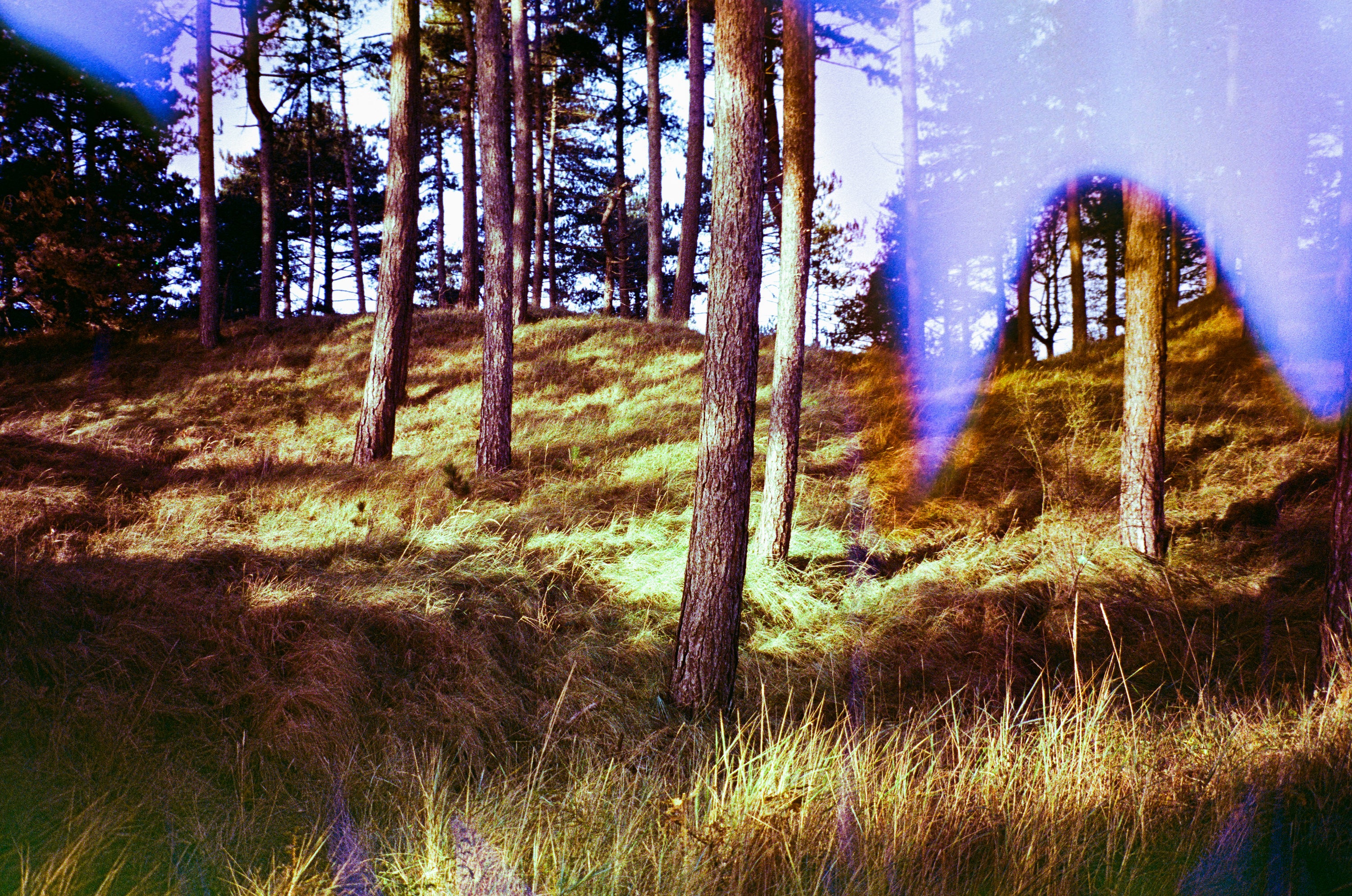 Sugar UV, film soup