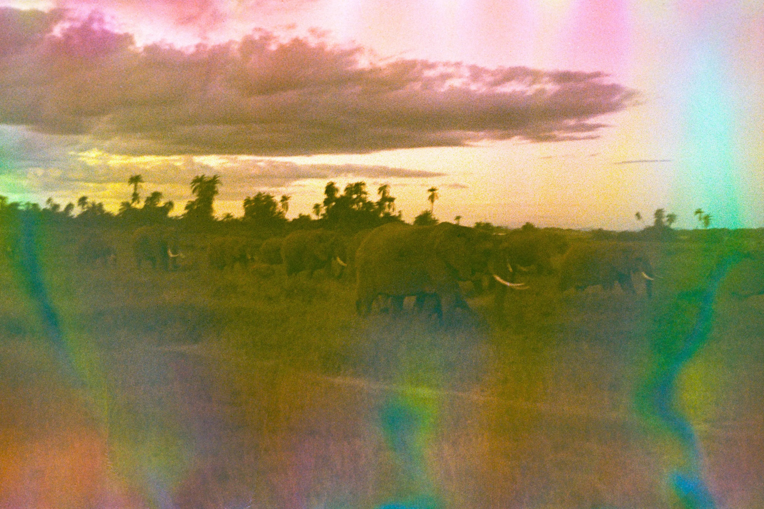 Acid Aura, film soup tomasoup
