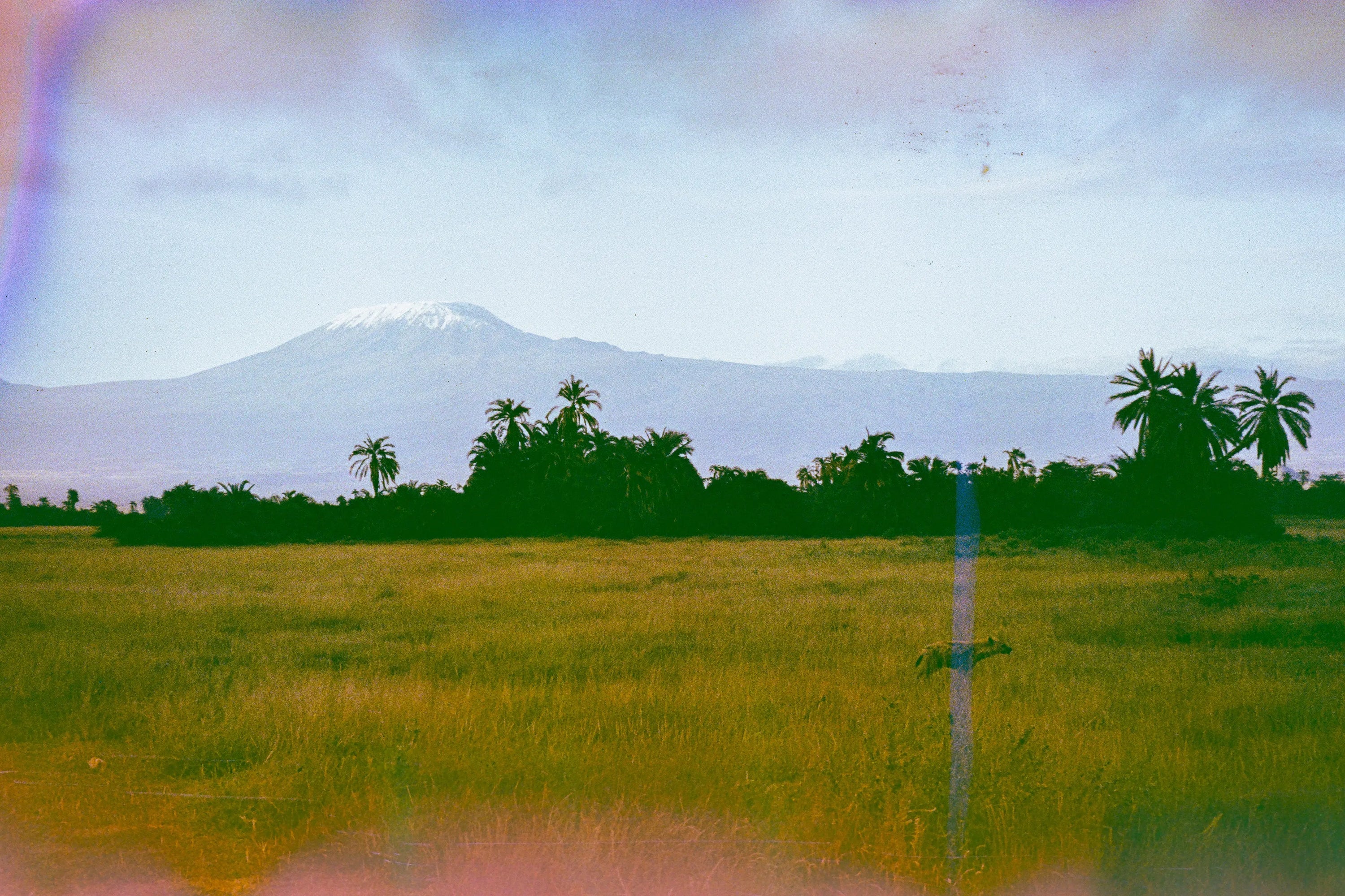 Acid Aura, film soup tomasoup