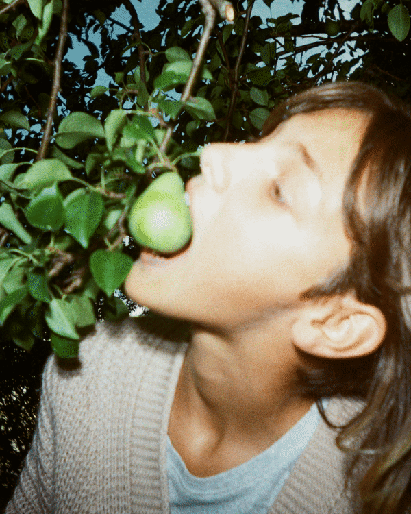Apple Feast of the Saviour, 3D print Toma Gerzha