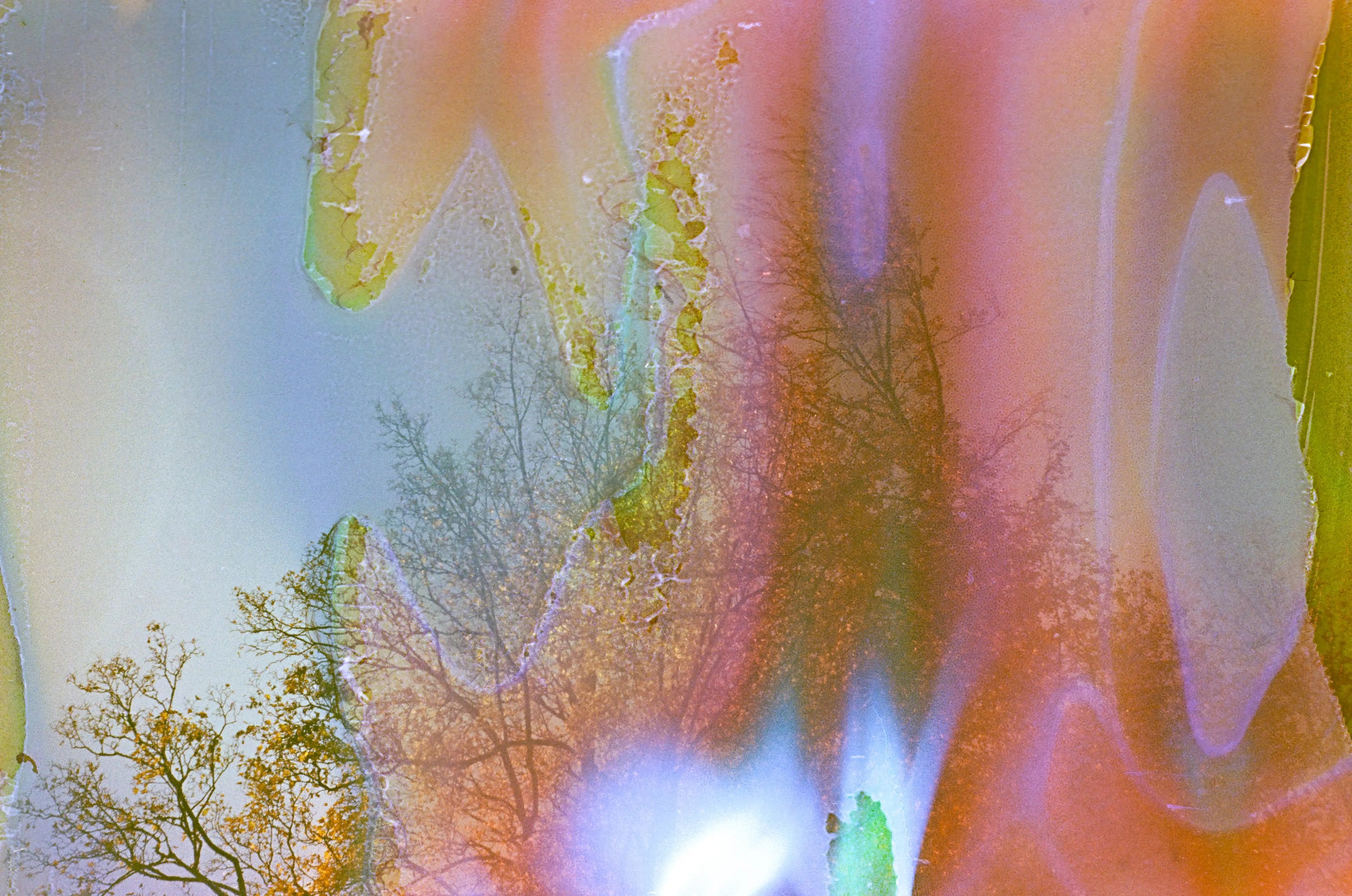 Cherry, film soup tomasoup