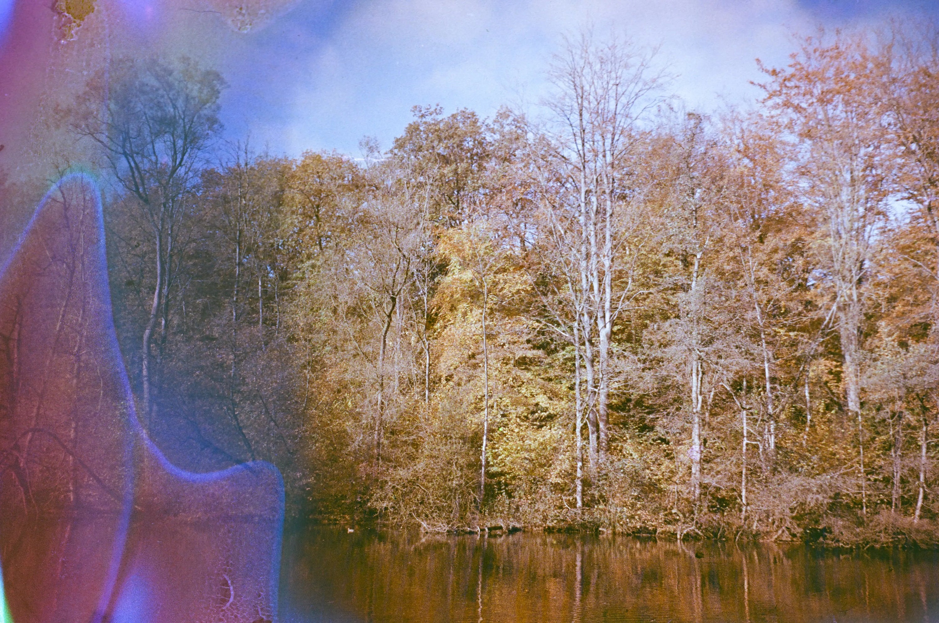 Cherry, film soup tomasoup