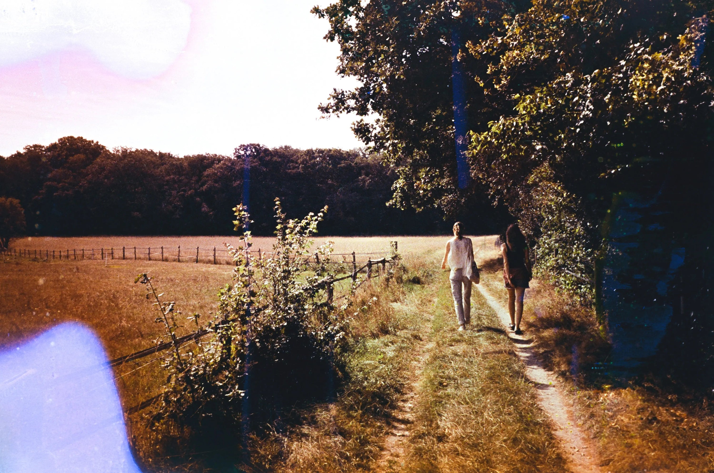 Sunblue, film soup tomasoup