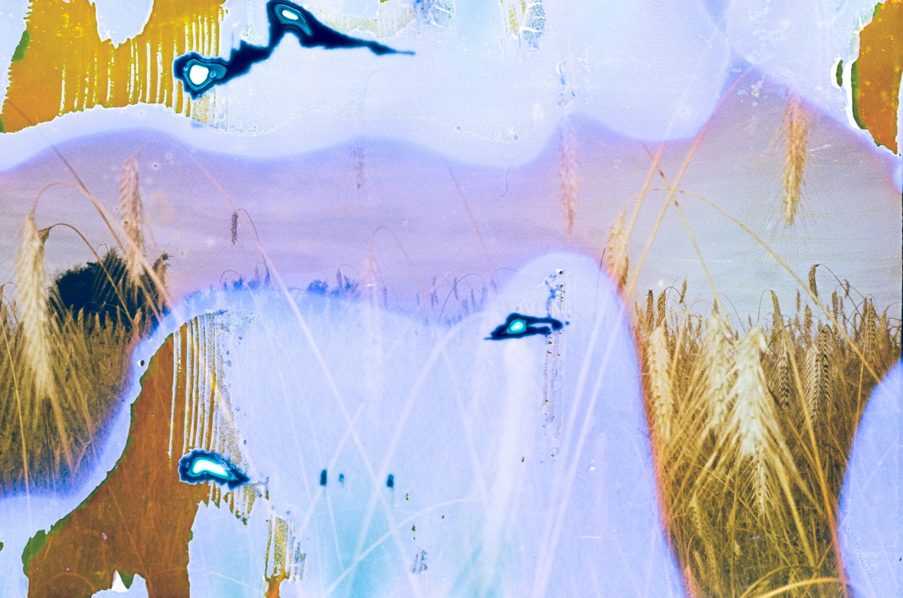 Sunblue, film soup tomasoup