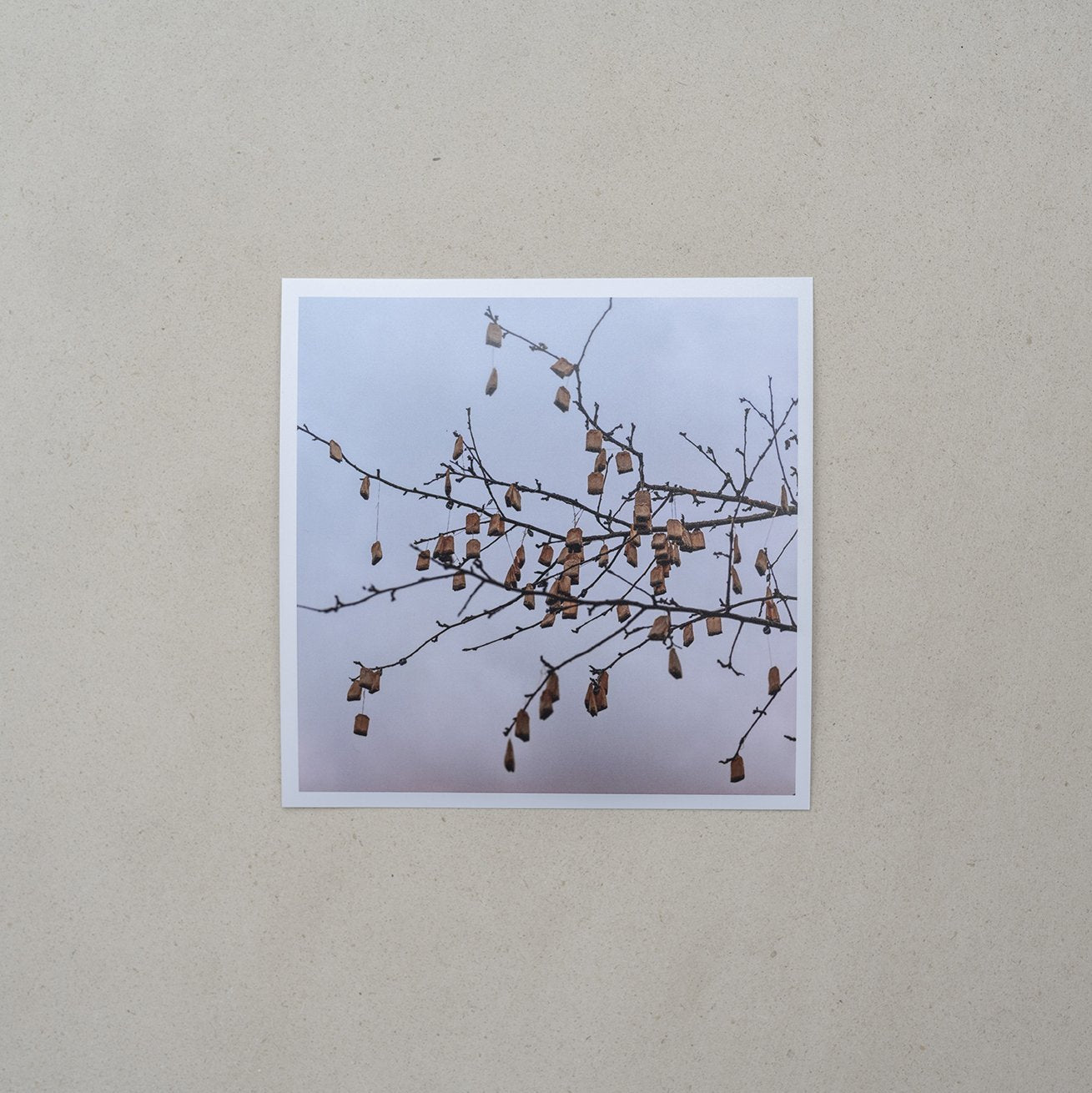 Tea tree, print